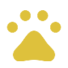 pets_100dp_DEC13C_FILL0_wght200_GRAD0_opsz48